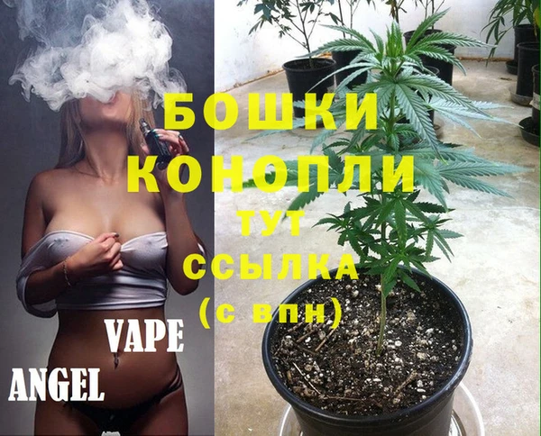 хмурый Аркадак