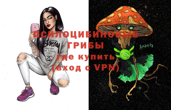 хмурый Аркадак