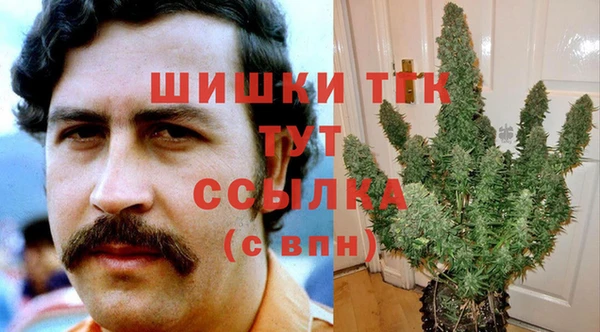 крисы Арсеньев