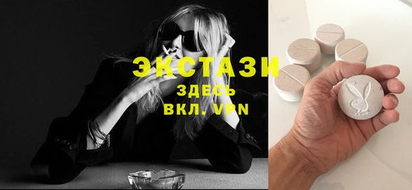 хмурый Аркадак