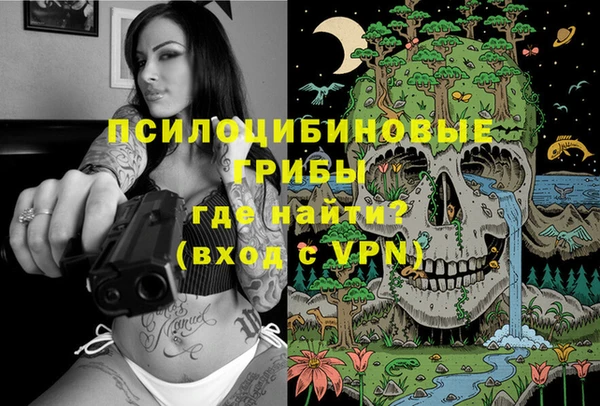 хмурый Аркадак