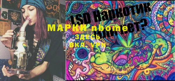хмурый Аркадак